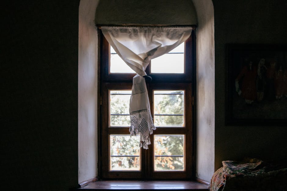 Sunlight streaming through large energy efficient replacement windows in a modern living room